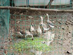 -贤鲁岛贤溪农庄