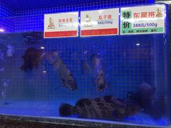 -名苑皇宫酒家(来魅力壁画村店)