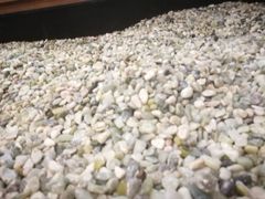 -弘安丽水温泉酒店