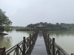 -泗洪洪泽湖湿地景区