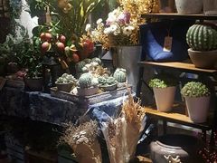-范设计花园餐酒咖·中西餐·咖啡厅·酒馆