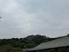 -全汁全味驴庄(凤岗店)