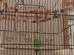 -瓦舍茶馆(聚源路店)