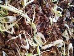 铁盘烤牛肉-清真永恒华威肉饼(潘家园店)