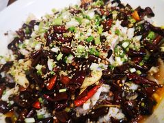 黑鱼花-三猫黑鱼花(南大店)