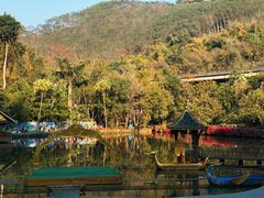 -西双版纳原始森林公园