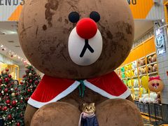 -LINE FRIENDS Garosu-gil Flagship Store