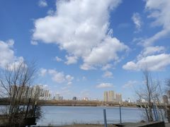 -长白岛森林公园