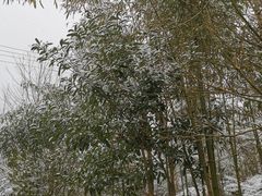-太阳湾风景区