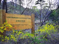 -北京鹫峰国家森林公园