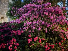 -常州古运河南大街文化旅游区-人民公园