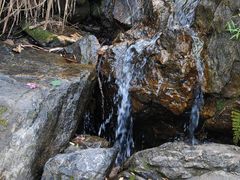 -水濂山森林公园