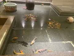 -水立方3号洗浴会馆(曼哈顿店)