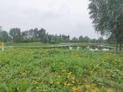 -东郊湿地公园