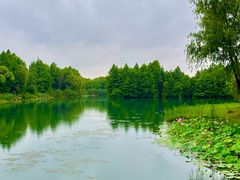 -尚湖风景区