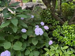 -新荣记(西溪湿地店)