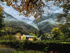 -黑河国家森林公园