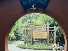 -望江楼公园