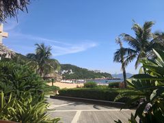 -东澳岛