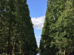 -东平国家森林公园