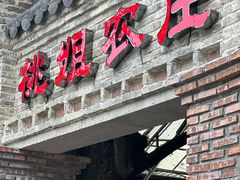 -桃姐农庄老字号(增城分店)