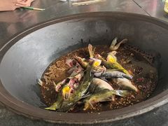 -小赖鱼馆