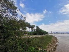 -江心屿景区