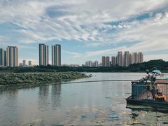 -月湖风景区