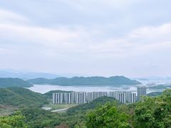-黄贤森林公园
