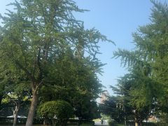 -大连人民广场