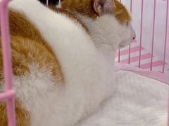 -开元商城(西旺店)