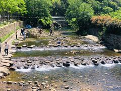 -北仑森林植物园