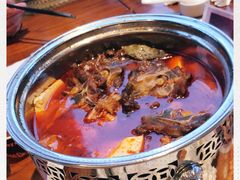 -嘉定凯悦·咖啡厅