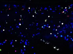 -五棵松篮球馆(华熙LIVE·五棵松店)