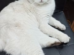 -青春加萌照相馆