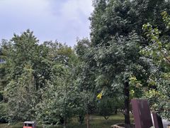 -元大都城垣遗址公园