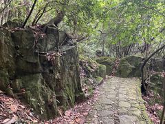 -花溪风景区