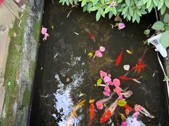 -老洋房花园饭店(绍兴路店)