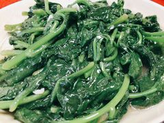 蒜蓉炒潺菜-棠记海鲜餐厅(南朗镇店)