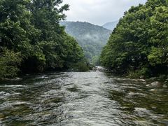 -石台牯牛降景区