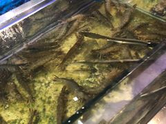 -V-ONE西雅图海鲜自助餐厅(仓山万达广场店)