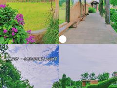 -夏河溪乡野公园