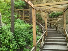 -大岭沟猕猴桃谷风景区