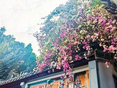 -深圳国际园林花卉博览园