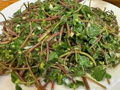 蒜蓉马齿苋-悠悠美食