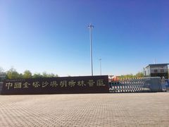 -金塔沙漠胡杨林景区