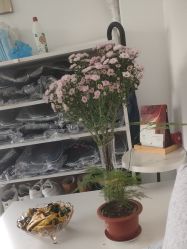 -瑶芳清颜草本祛痘