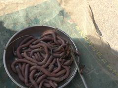 -北海金海湾红树林生态旅游区