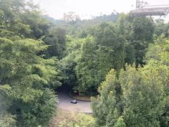 -圣淘沙天际线斜坡滑车