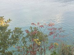 -广州市流溪河国家森林公园